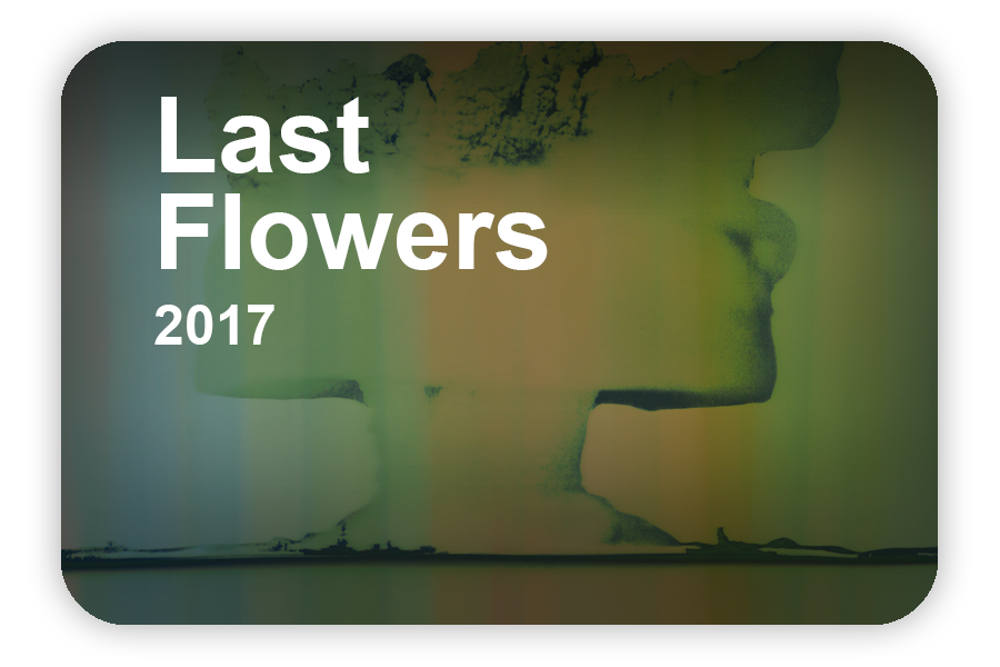 Last Flowers