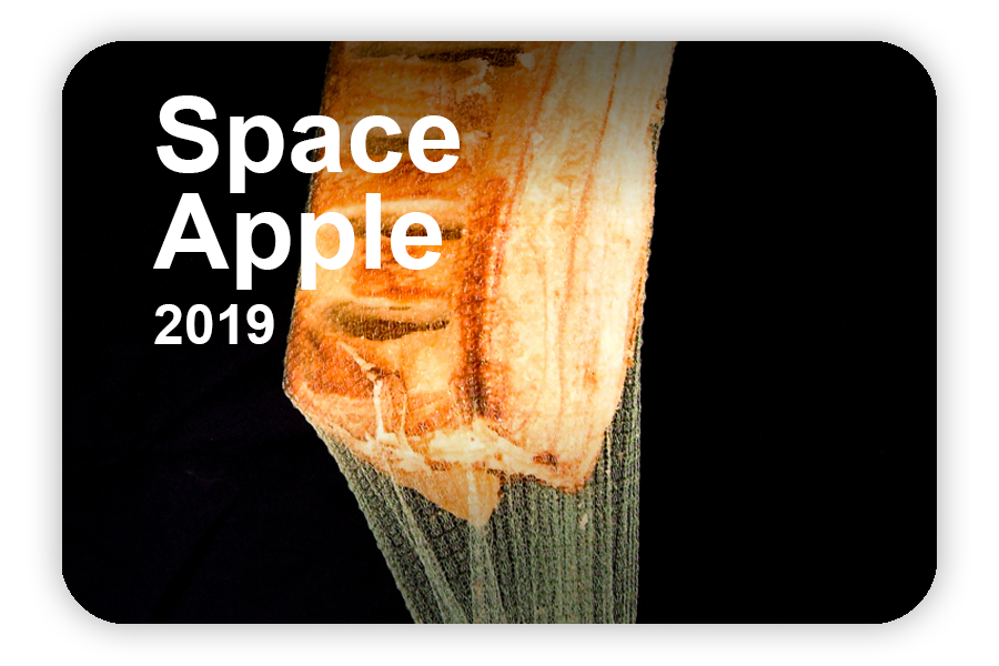 Space Apple